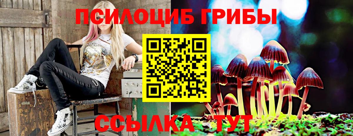 даркнет сайт  Вход с VPN  Куйбышев  Галлюциногенные грибы Psilocybe 